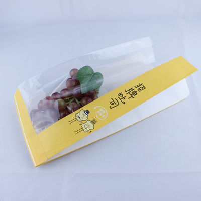 Thùng bao bì phân hủy sinh học dùng một lần tùy chỉnh với in logo