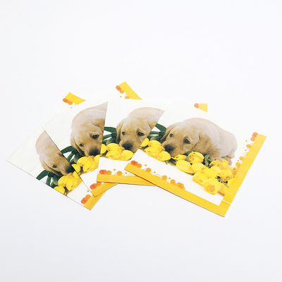 Bức in giấy cá nhân khăn giấy Món ăn tối cocktail Serviettes 1/4 1/8 N